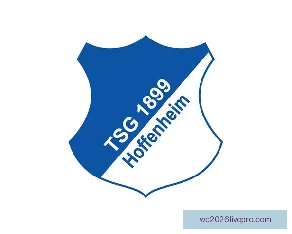 霍芬海姆1899最新动态揭示球队备战与球员转会全解析