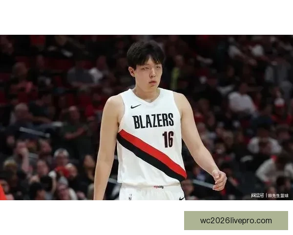 杨瀚森NBA选秀前景几何 深度解析技术短板成长空间与中国男篮未来核心价值 杨瀚森NBA选秀前景几何 深度解析技术短板成长空间与中国男篮未来核心价值